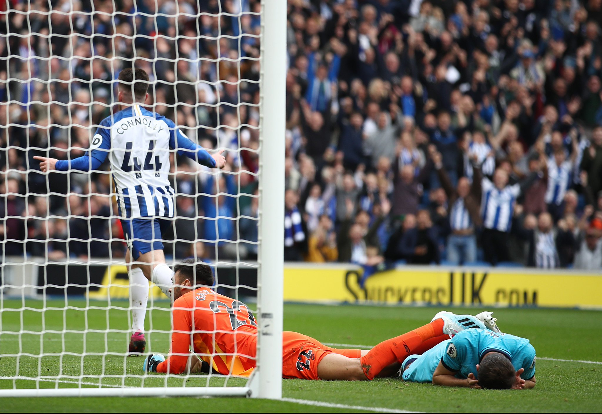 适应能力 适应能力